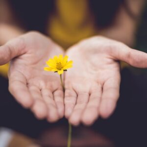 Musikalischer Gutschein für Workshops, Kurse und Musiktherapie