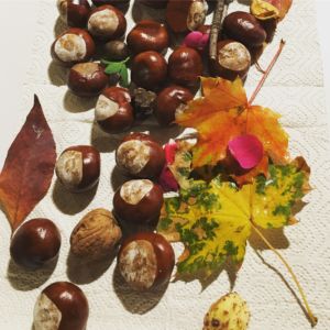 MUSIKSPIEL für MAXIS (3-5 J.) mit Eltern<br>Herbstkurs mit 10 Terminen, Do 15.00h <br>Kursstart: 24.09.2026