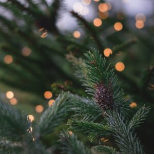 REFLEXION & SOUND Workshop<br>Weihnachtszauber<br>Samstag 19.12.2026, 11.30-13.00h [Digital]